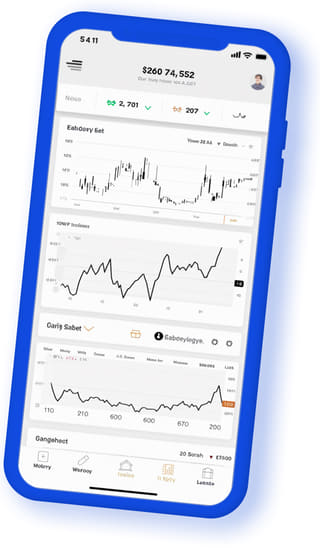 Frost Coinex digital web application on mobile device